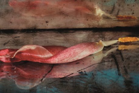 Ulisses, el viatge i la memòria mediterrània