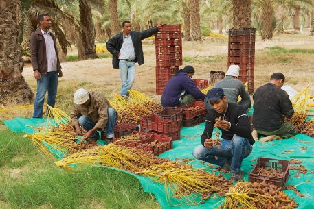 Formalizing the Informal Sector: a Fundamental Policy for the Economic Stability of the MENA Region