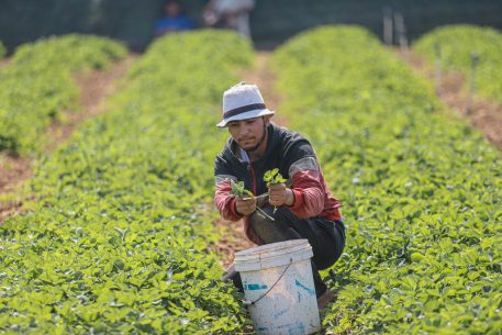 Youthful but Idle: The Case of NEETs in the MENA region