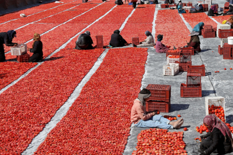 Situación económica de Egipto: desafíos, causas y perspectivas