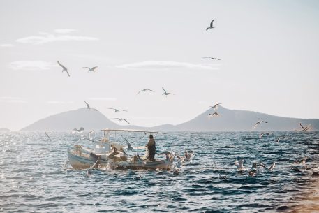 The corporate sustainability within the EU framework. Analysis of practices in the Mediterranean area