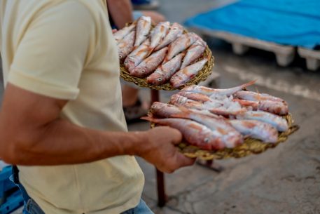 Del mar al plat: Reconnectar amb el mar que ens alimenta