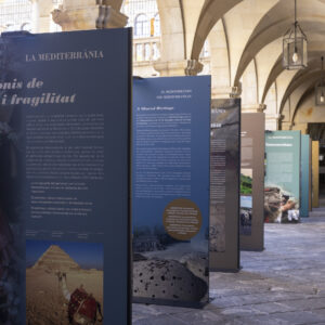Tunis hosts the exhibition “The Mediterranean: A Sea of Heritages”