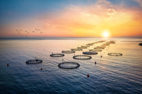 Towards a Mediterranean Just Transition Framework: Priorities for the Post-2030 Agenda