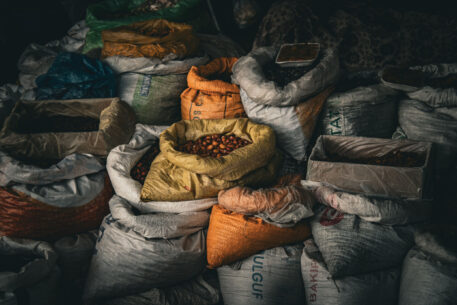Food Security: The Strait of Hormuz and MENA Vulnerability